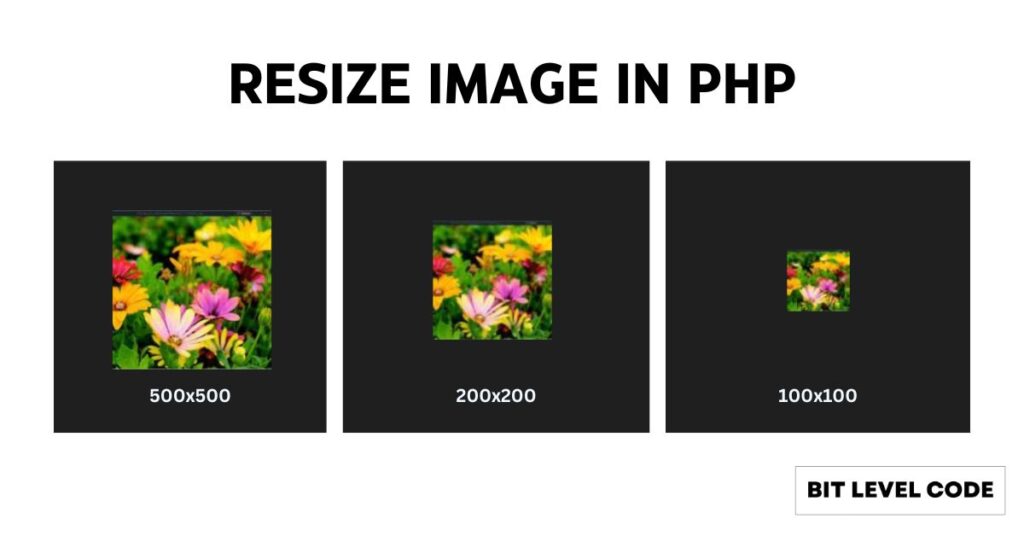 how to resize image using php