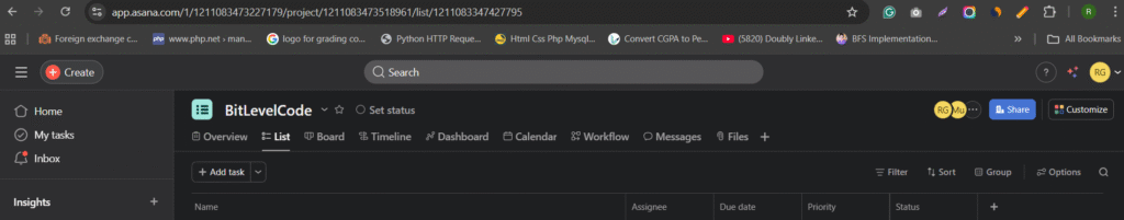 Asana Inside the Project Customization Optiion